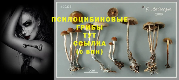 Альфа ПВП Абдулино