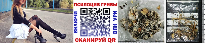 купить наркотики цена  Красково  Галлюциногенные грибы Psilocybine cubensis 